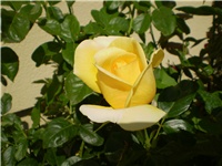 670858e5-Picture 3100.jpg